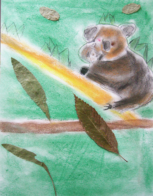 dessin koala pastel enfant lubersac